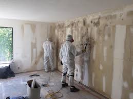  Orion, IL Mold Removal & Remediation Pros